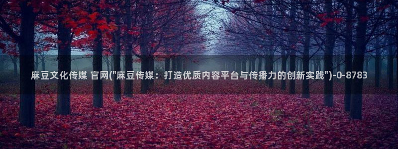 麻豆视频视频：麻豆文化传媒 官网(\