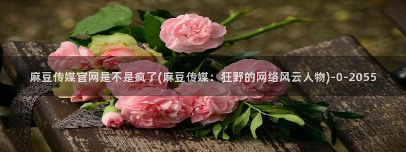 麻豆视频专区整理：麻豆传媒官网是不是疯了(麻豆传