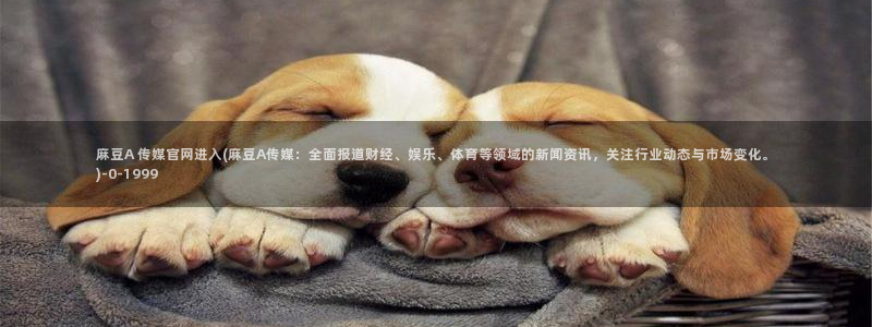 麻豆视频 资源在线看：麻豆A 传媒官网进入(麻豆