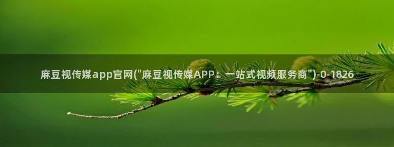 麻豆 完整版页面：麻豆视传媒app官网(\