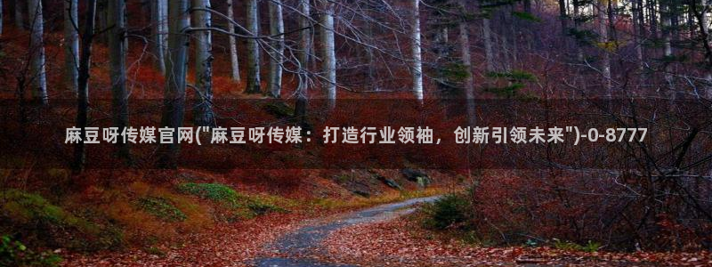 麻豆视频内容整理：麻豆呀传媒官网(\