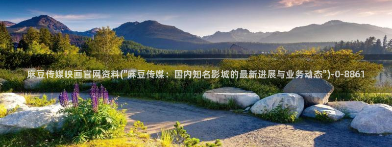 麻豆视频 最新合集：麻豆传媒映画官网资料(\