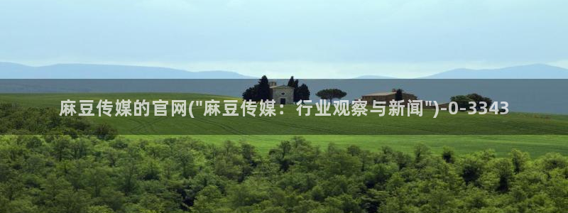 麻豆视频图集完整版：麻豆传媒的官网(\