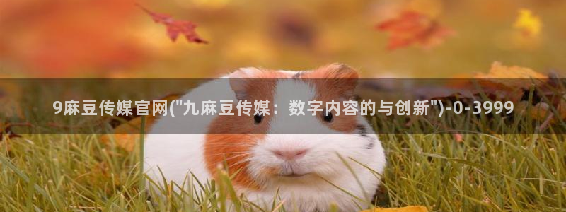 麻豆完整版高清：9麻豆传媒官网(\