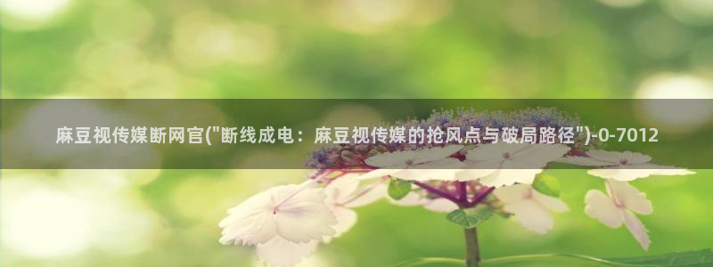 麻豆 入口推荐：麻豆视传媒断网官(\