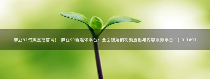 麻豆视频 资源：麻豆91传媒直播官网(“麻豆91新媒