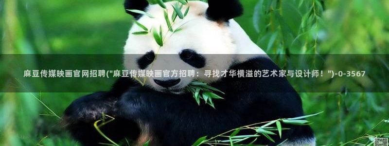 麻豆视频 内容导航：麻豆传媒映画官网招聘(\