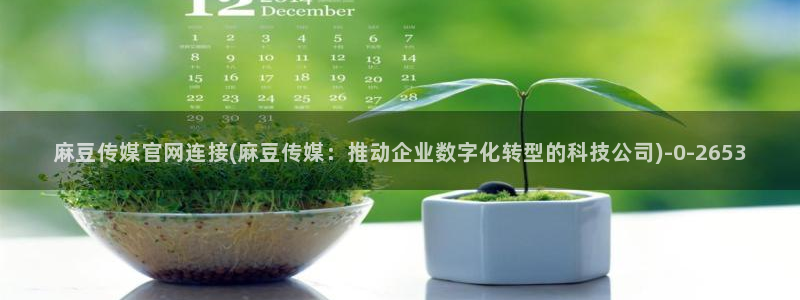 麻豆下载完整版：麻豆传媒官网连接(麻豆传媒：推动企业数字化转型的科技公司)