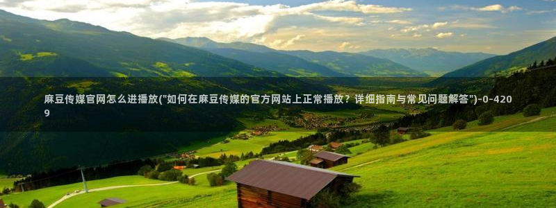 麻豆 完整版专区：麻豆传媒官网怎么进播放(\