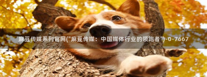 麻豆最新导航：麻豆传媒系列官网(\