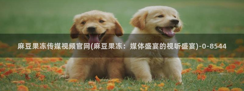 麻豆视频资源页面：麻豆果冻传媒视频官网(麻豆果冻：媒体盛宴的视听盛宴)