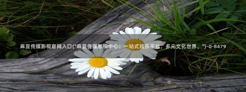 麻豆视频合集高清：麻豆传媒影视官网入口(\