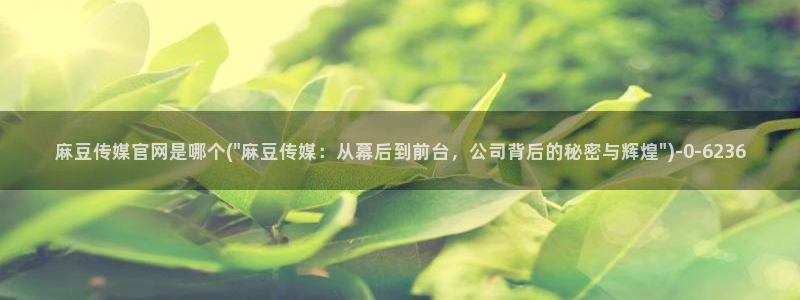 麻豆入口导航：麻豆传媒官网是哪个(\