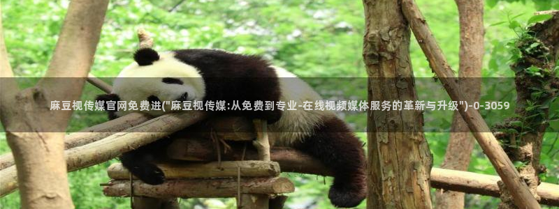 麻豆视频 系列下载：麻豆视传媒官网免费进(\