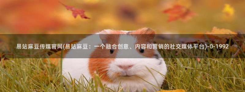 麻豆视频系列合集：易站麻豆传媒官网(易站麻豆：一个融合创意、内容和营销的社交媒体平台)