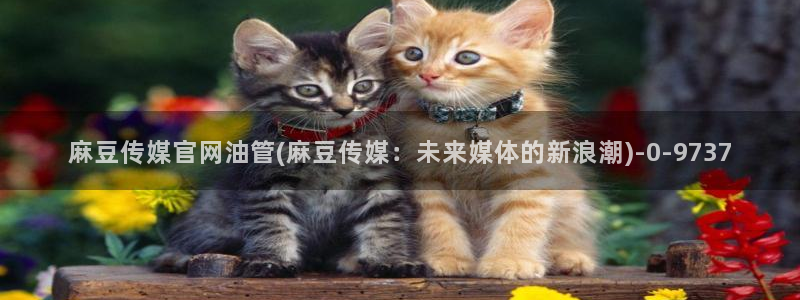 麻豆在线看页面：麻豆传媒官网油管(麻豆传媒：未来媒体的新