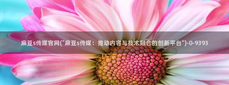 麻豆视频更新高清：麻豆s传媒官网(\